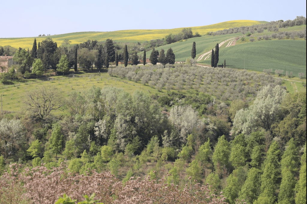 Tuscan countryside seen from Montalceto path in Crete Senesi region