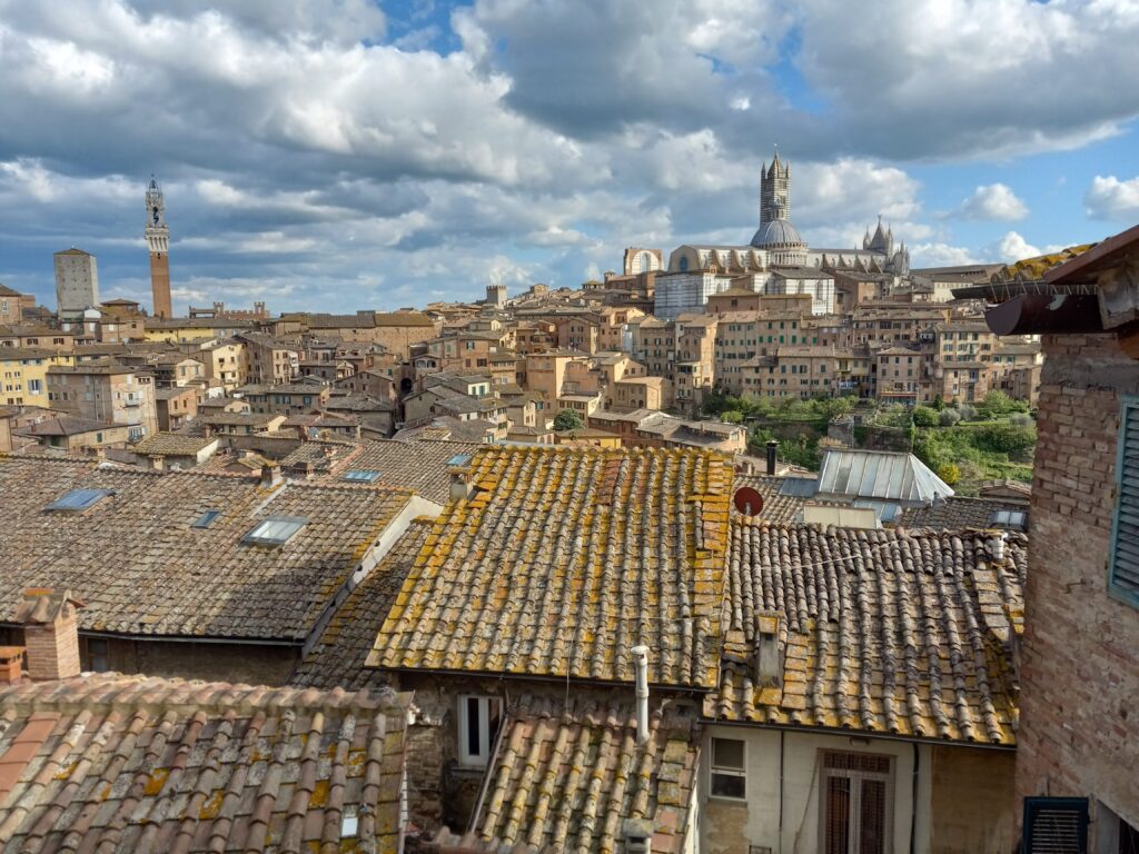 Siena rooftops and cathedral viewed from our balcony