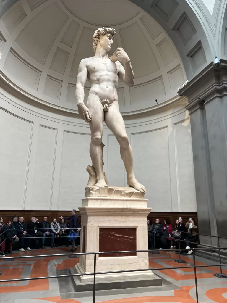 Michelangelo's David at the Galleria dell'Accademia