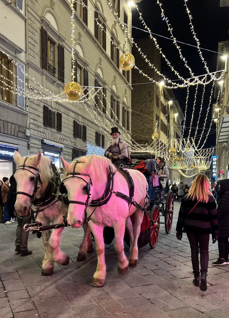 Christmas decorations on horse-drawn carriage